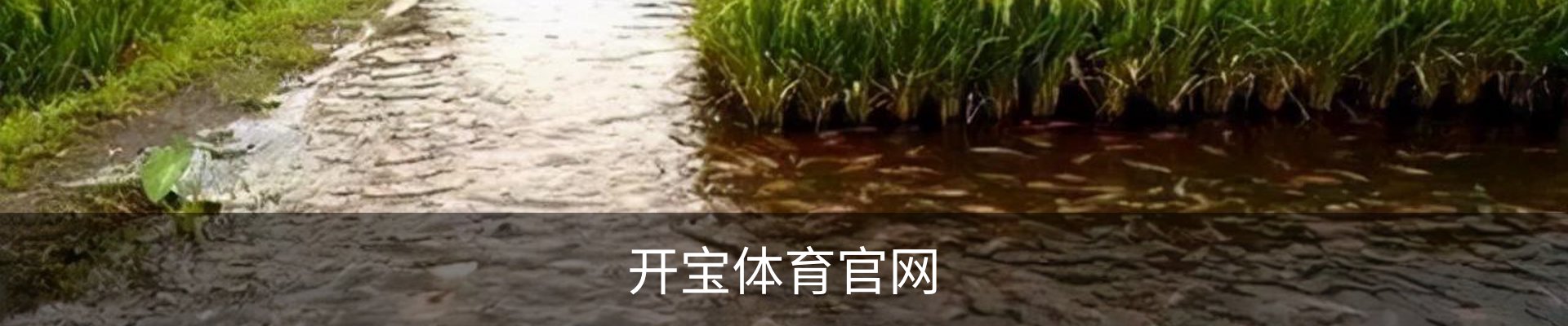 开宝体育官网